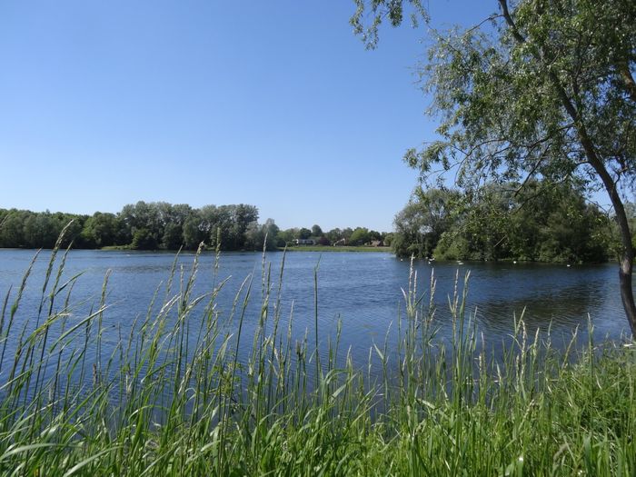 Visite guidée à la découverte de la préservation du patrimoine naturel de la chaine des lacs