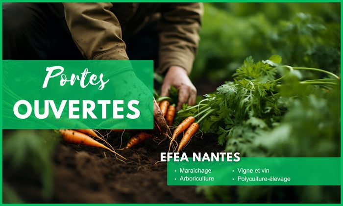 Portes Ouvertes EFEA 2026-2027 - Centre de Nantes (44)