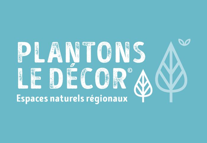 Plantons le décor 🌱