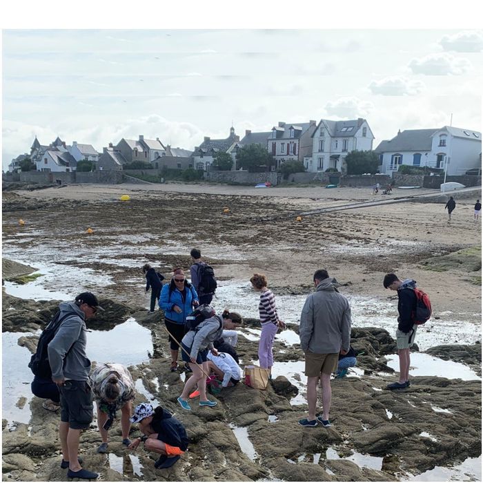 COMPLET - La vie à marée basse à Piriac-sur-Mer