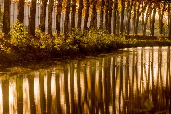 Perspectives au fil de l'eau : le Canal du Midi