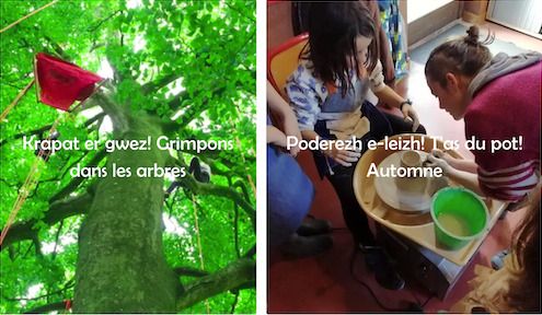 Camps d'automne en breton