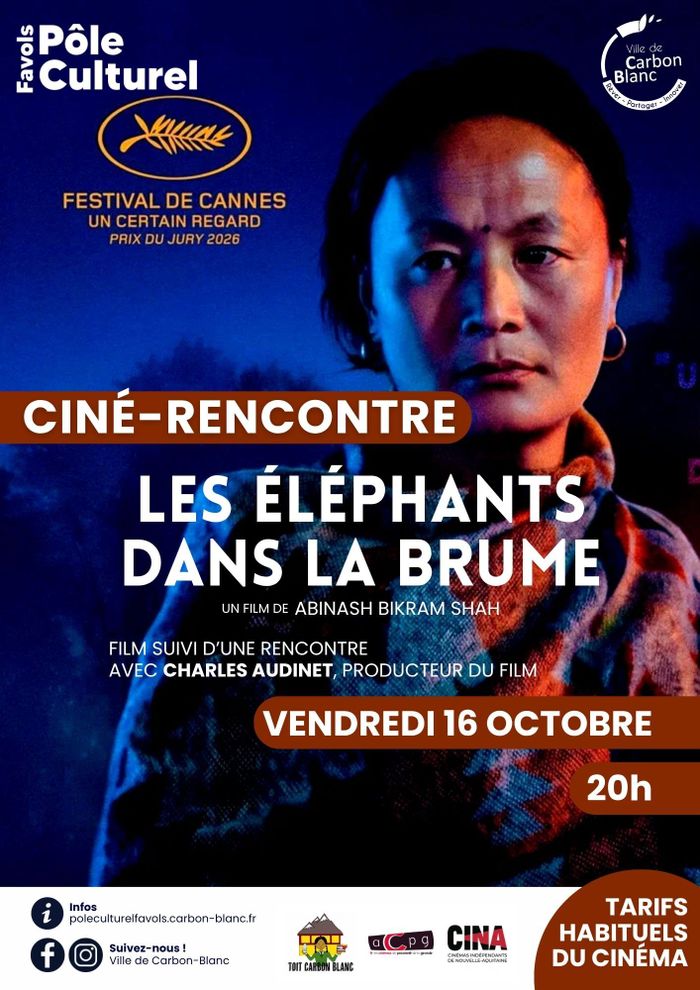 LES ÉLÉPHANTS DANS LA BRUME | VOST + CINÉ-RENCONTRE