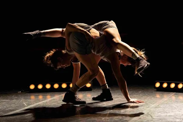 La Nuit du Cirque