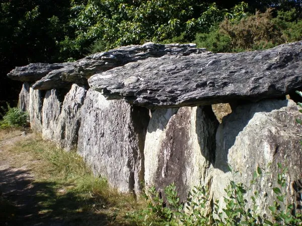 Visite de l'allée couverte de Tréal