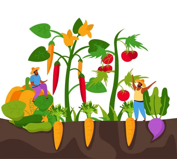 Atelier jardinage : Bouturage sur bois aoûté