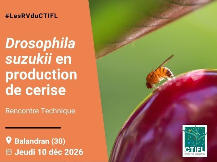 Rencontre Technique Drosophila suzukii en production de cerise