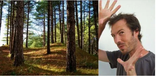 Balade contée au Parc du Marquenterre (80)