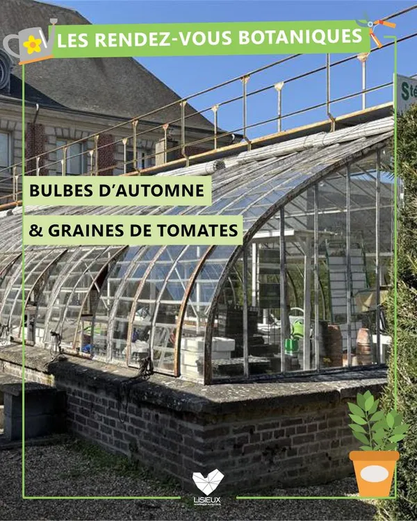 RDV botaniques : Bulbes d'automne & graines de tomates