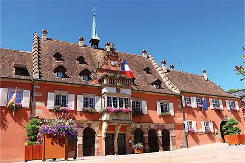 Visite guidée des coulisses et archives de l'Hôtel de Ville