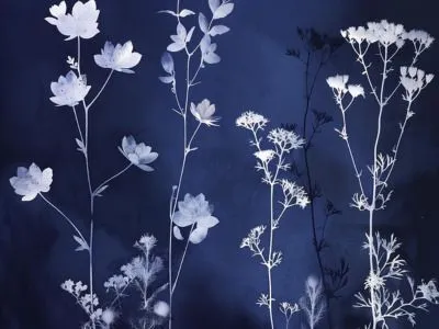 Atelier cyanotype