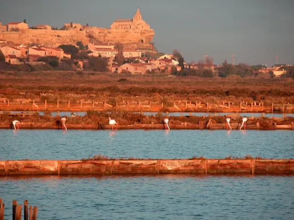 À la découverte des Salins
