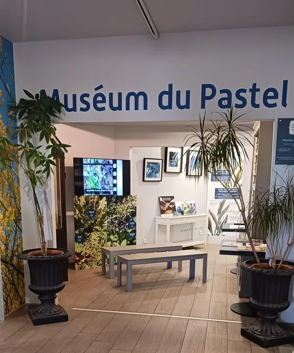 Entrée Muséum du Pastel gratuite
