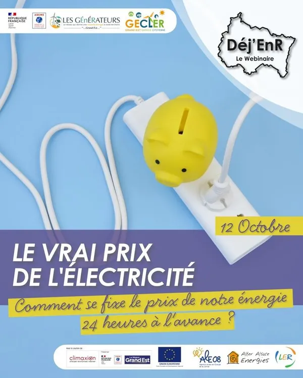 Webinaire : Le vrai prix de l’électricité !