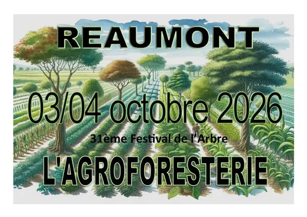 31ème festival de l 'arbre