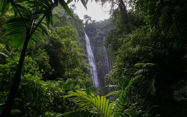 Rencontre : Les sons de la nature