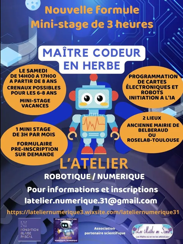 Mini stage robot au RoseLab pour les MAITRES CODEUR EN HERBE