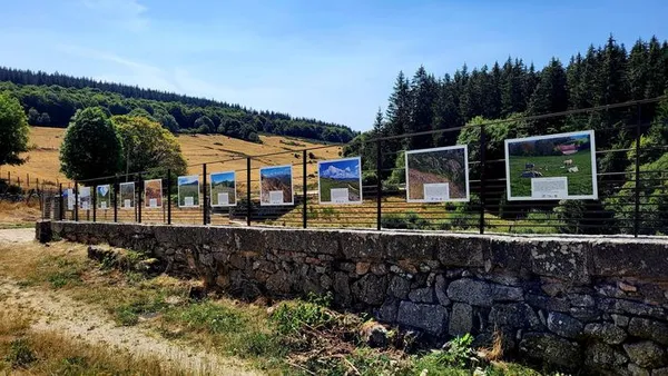 Exposition : "Voyage au cœur des prairies naturelles du Massif central"