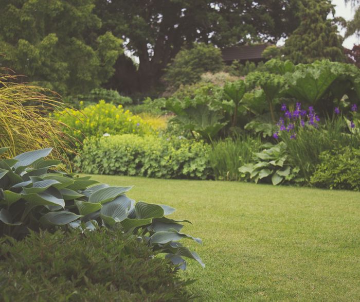 Visite guidée du jardin du Lansau à Marchiennes