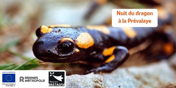 Nuit du dragon à la Prévalaye