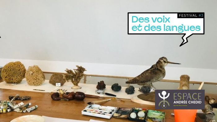 Vernissage de l'exposition : Papoter, Pipeauter
