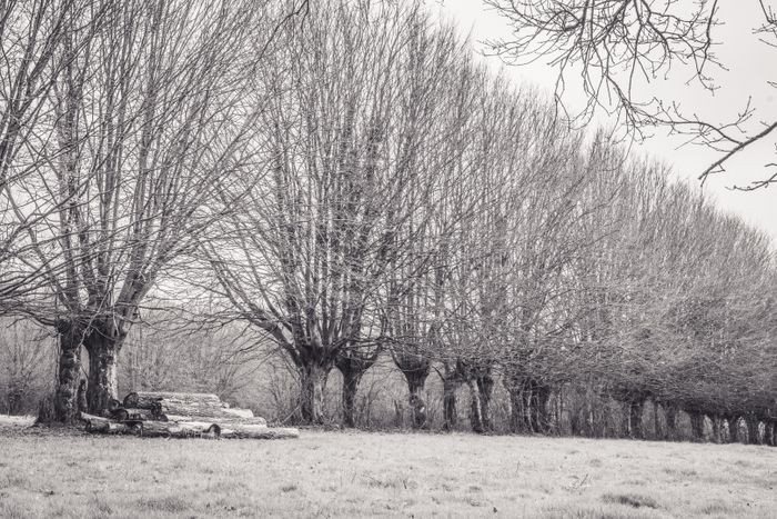 Montormel entre Histoire et nature