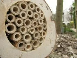 SEVRES - 🐝🌿 Des gîtes à insectes pour accueillir la biodiversité