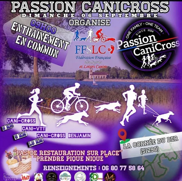 Entraînement canicross