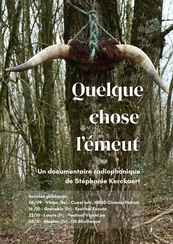 Ciné - Débat autour du documentaire sonore - "Quelque chose l'émeut"