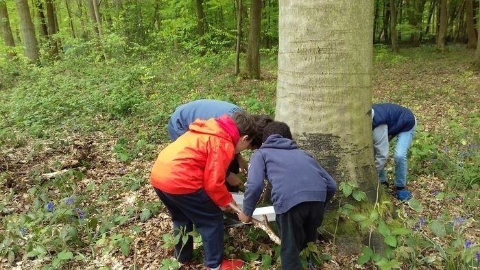 Stage Nature : Une semaine d’aventures au cœur de la forêt !