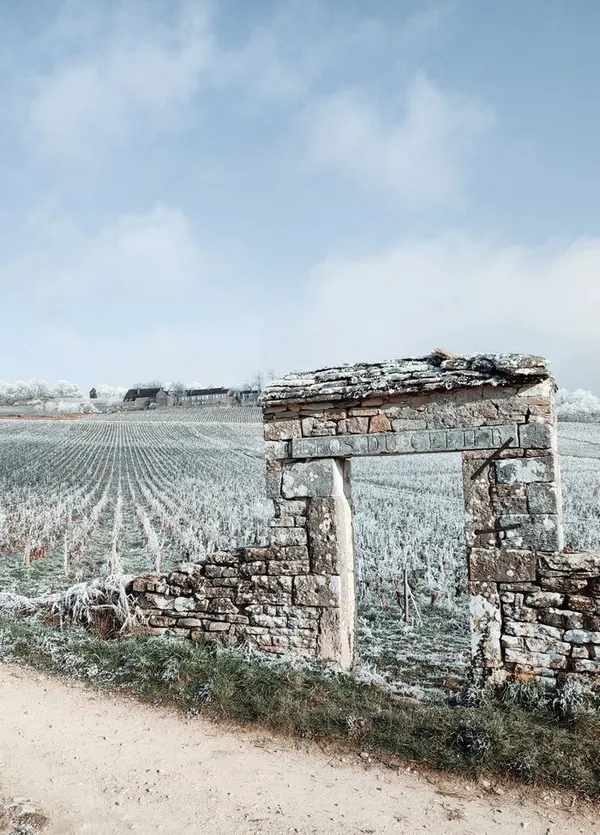 La pierre sèche à l'honneur