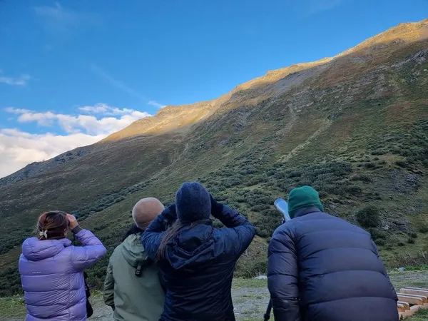 EnQuête du brame du cerf