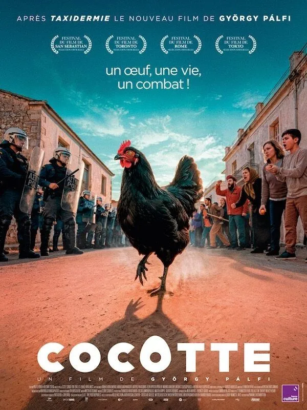 🌍🐔SOIRÉE GRECQUE ★ COCOTTE • PRÉSENTATION + REPAS MUSICAL