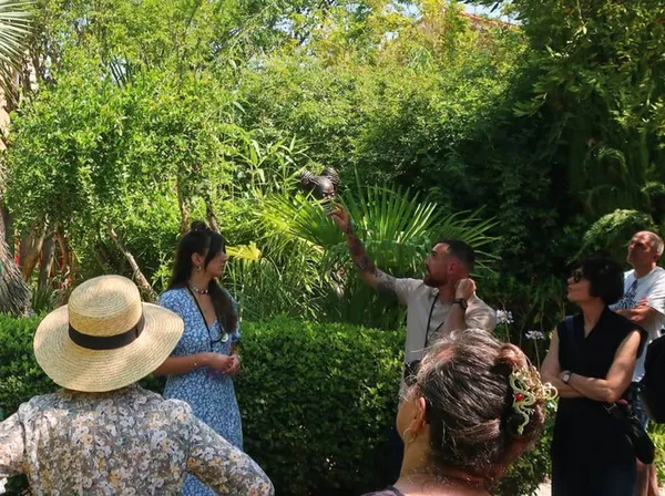 Visite guidées des jardins