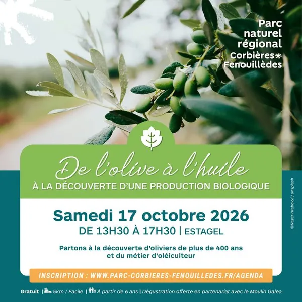 De l'olive à l'huile : Partons à la découverte d’une production d’huile d’olive biologique