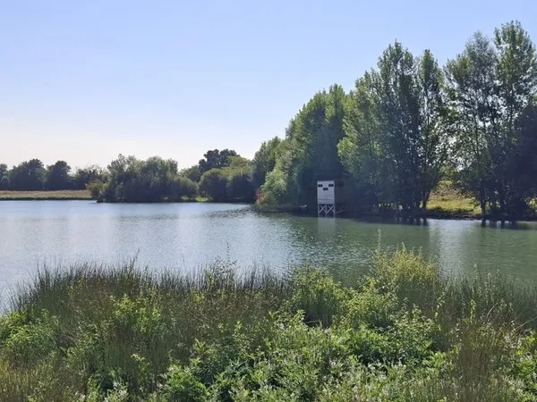 Découverte de la biodiversité au travers d'ateliers nature