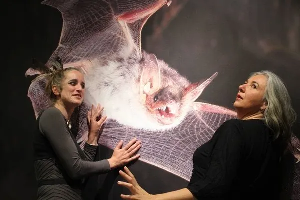 Les demoiselles de la nuit