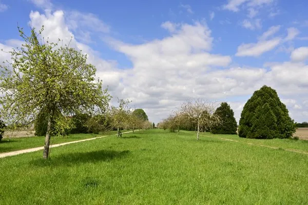 De la forêt de Rougeau à l'Allée Royale