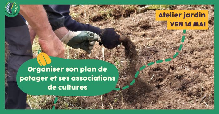 Atelier jardin : Organiser son plan de potager et ses associations de cultures