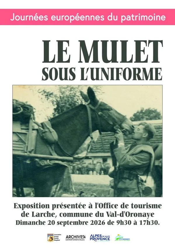 Visite exposition "Le mulet sous l'uniforme"