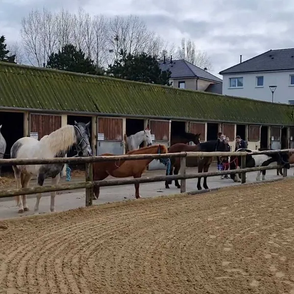 Portes ouvertes à Courseulles équitation