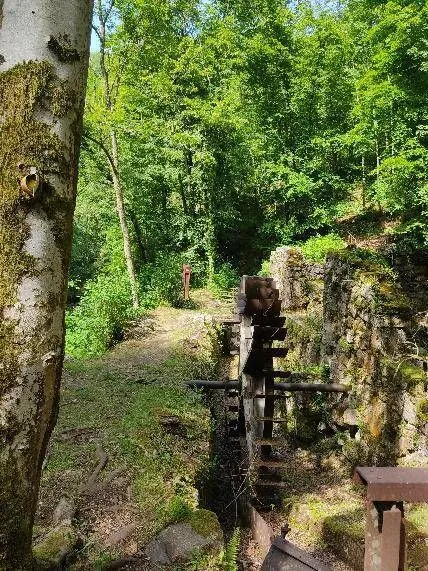 Balade musicale entre nature et patrimoine