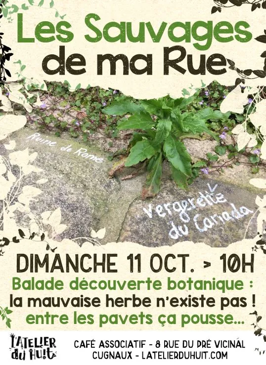 Atelier du Huit – « Les sauvages de ma rue »