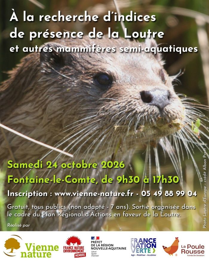 À la recherche d’indices de présence de la Loutre