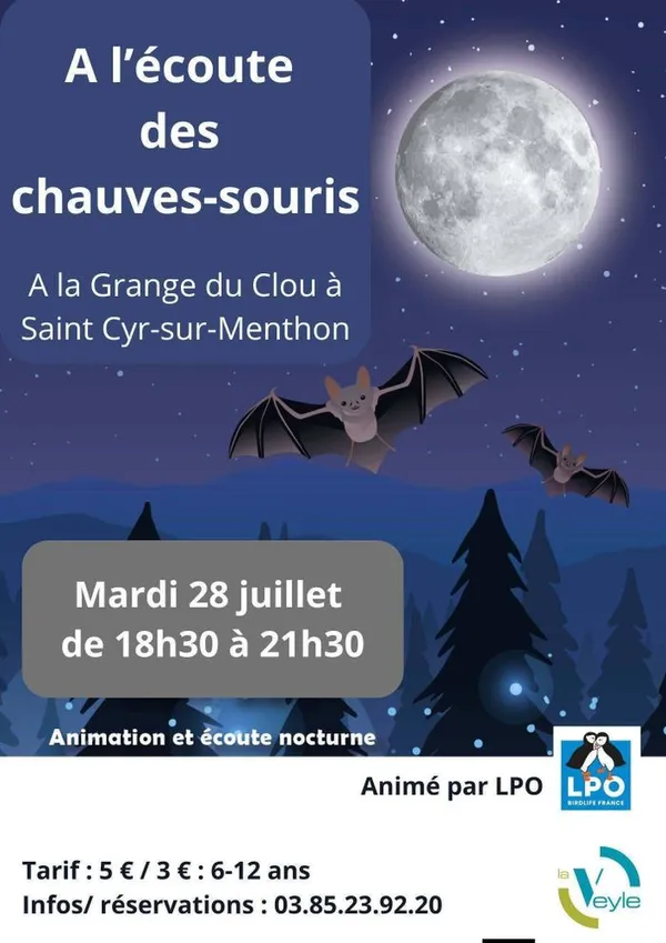 À l'écoute des chauve-souris