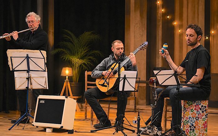 Concert du Trio Au Vivo