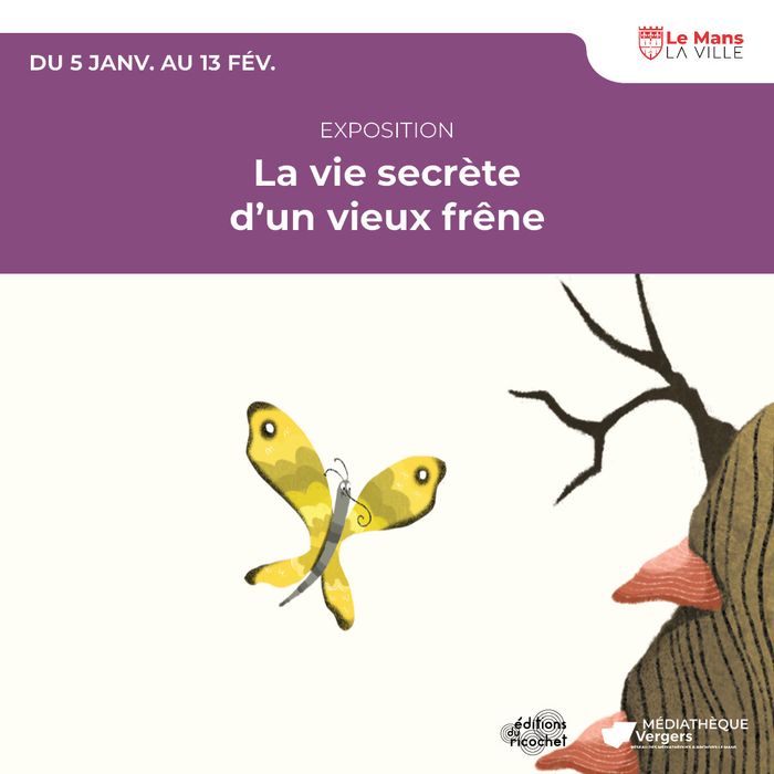 La vie secrète d’un vieux frêne