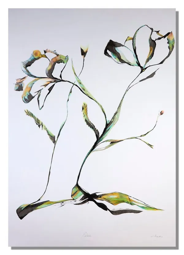 Exposition "A fleur de" - Amandine Mettier