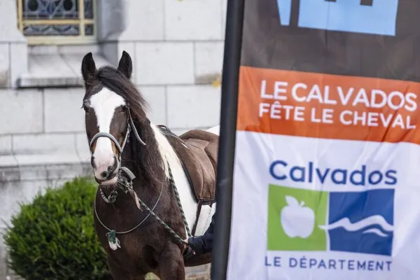 Vélo et théâtre dans le Bocage