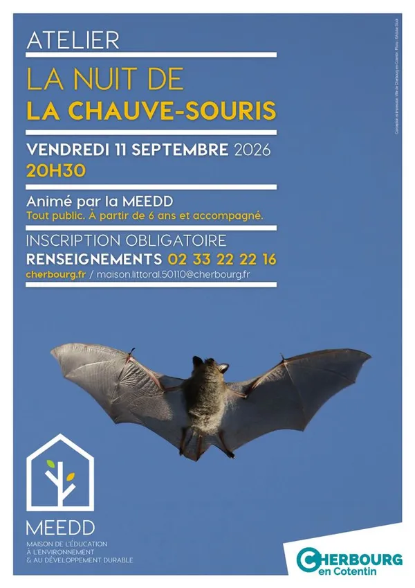Nuit de la chauve-souris